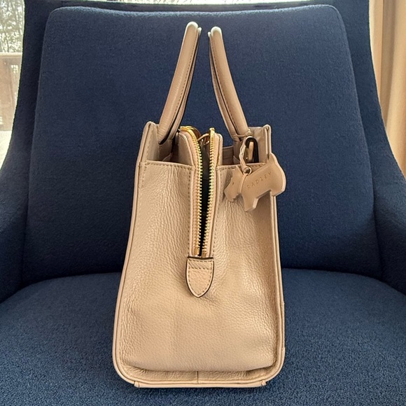 RARE Radley London Picture Bag Radley to the Core Apple Satchel Bag _Price Firm - Picture 8 of 17